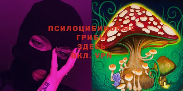 прущая мука Алзамай