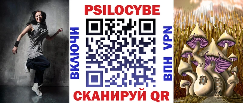 Галлюциногенные грибы Psilocybine cubensis  закладка  Чкаловск 